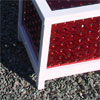 click here to visit point rays